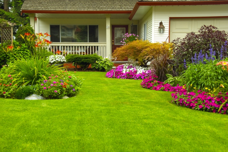 Gardening For Dummies: 5 Infallible Tips For Designing A Garden